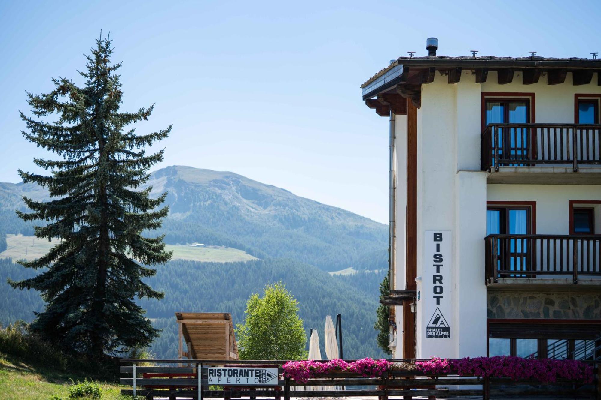 Chalet Des Alpes 그레산 외부 사진